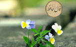 نیت کنید و فال حافظ امروز را بخوانید / 4 اسفند + فیلم